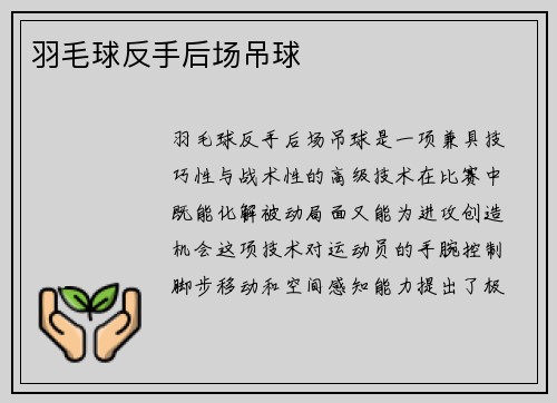 羽毛球反手后场吊球