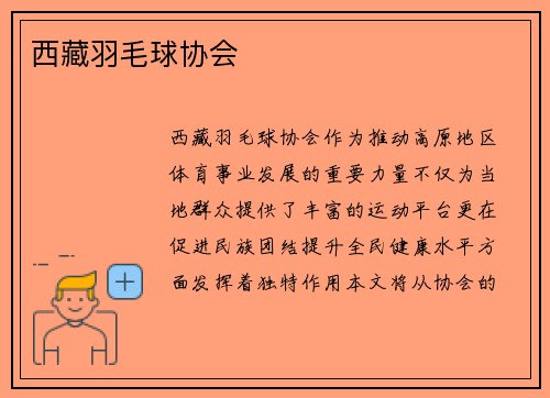 西藏羽毛球协会
