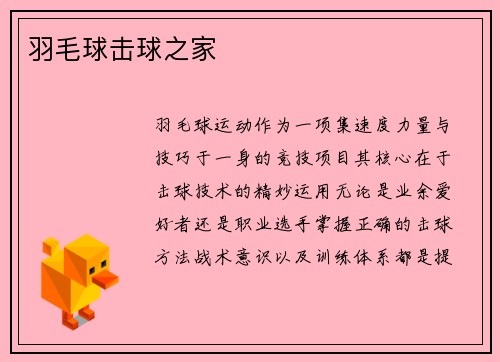 羽毛球击球之家